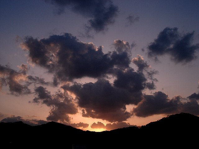 09.04.02_夕陽と棘.jpg